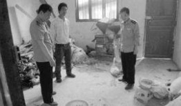 礼县网红吃瓜事件始末,一场网络舆论的风暴与反思